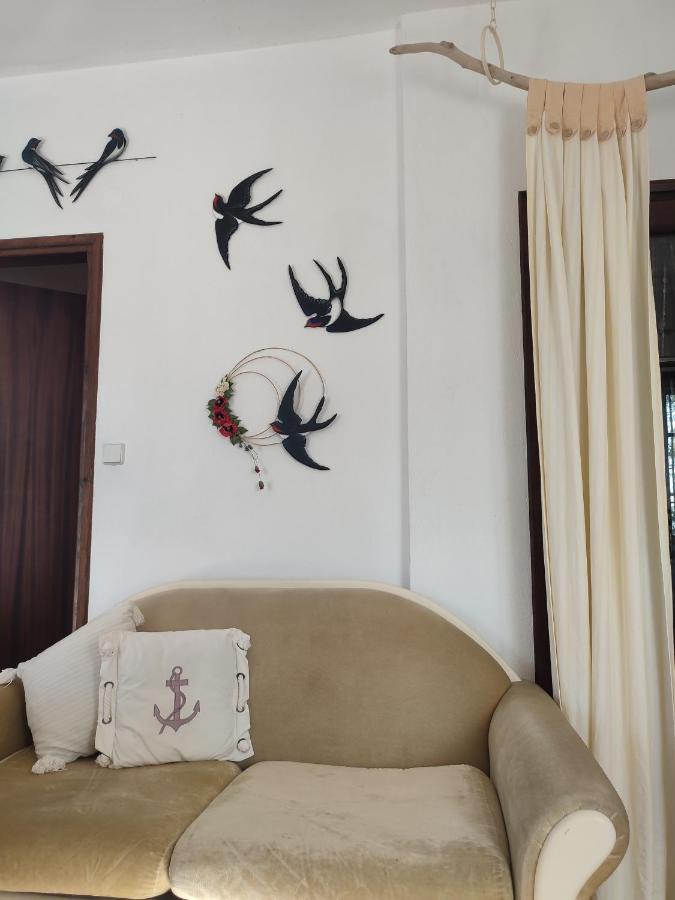 فيلا Sea Art House كالوغريا المظهر الخارجي الصورة